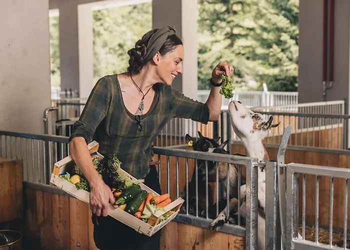 Hotel Klosterbraeu 5*